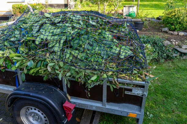Best Retail Junk Removal  in Cedar Falls, IA